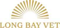 Long Bay Vet